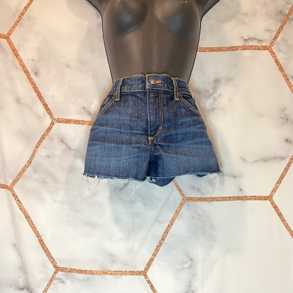 Joe's Jeans Marisela Cut Off Short
